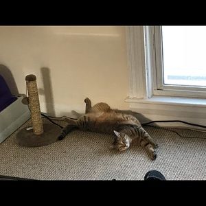 Meet your Posher, Crystal